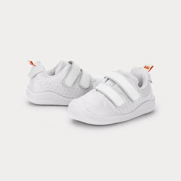 1265029_03 1265029_03