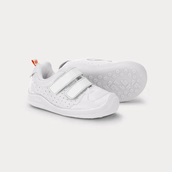 1265029_04 1265029_04